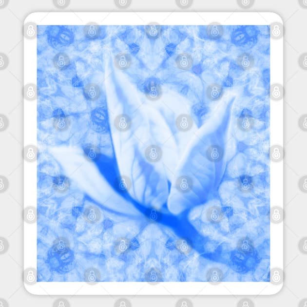 Abstract Bauhinia flower in blue Sticker by hereswendy